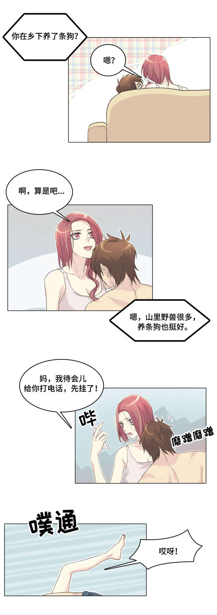 5.jpg