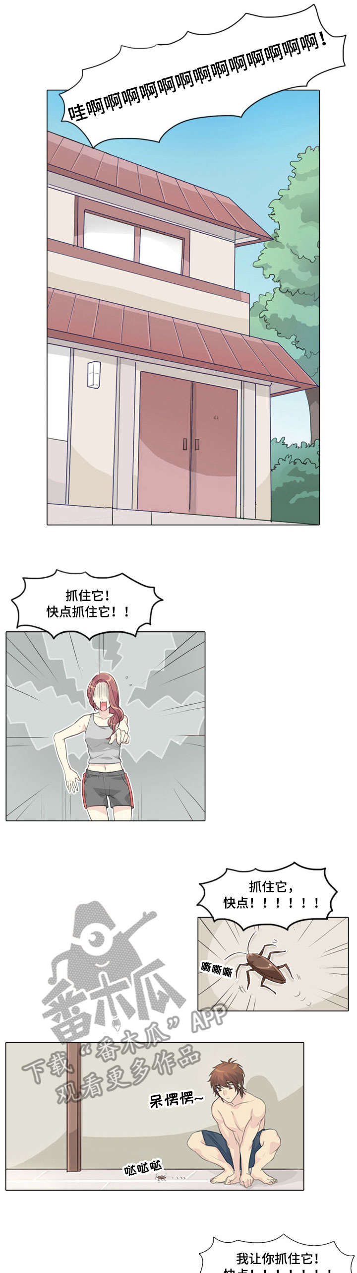4.jpg