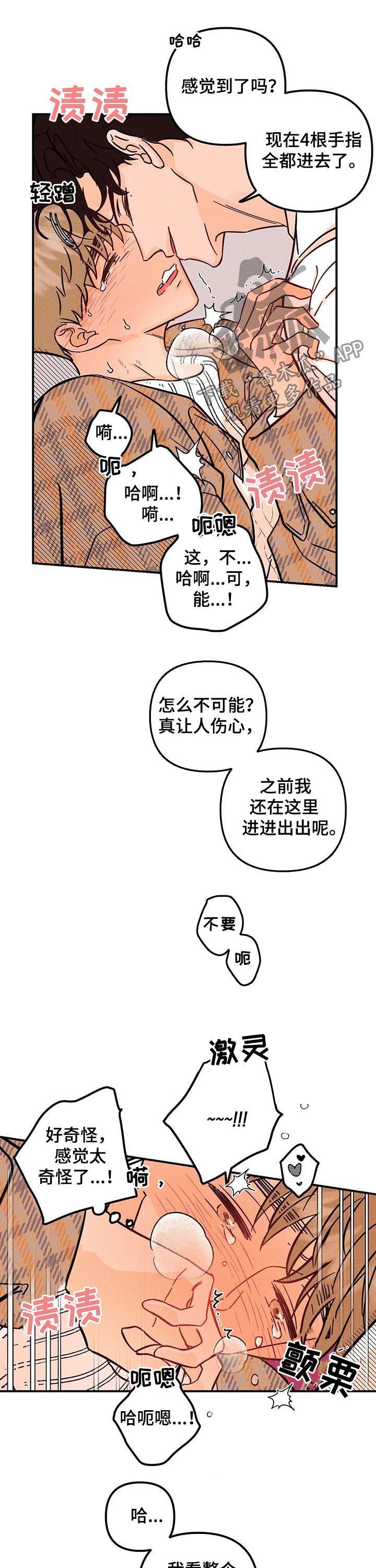 11.jpg