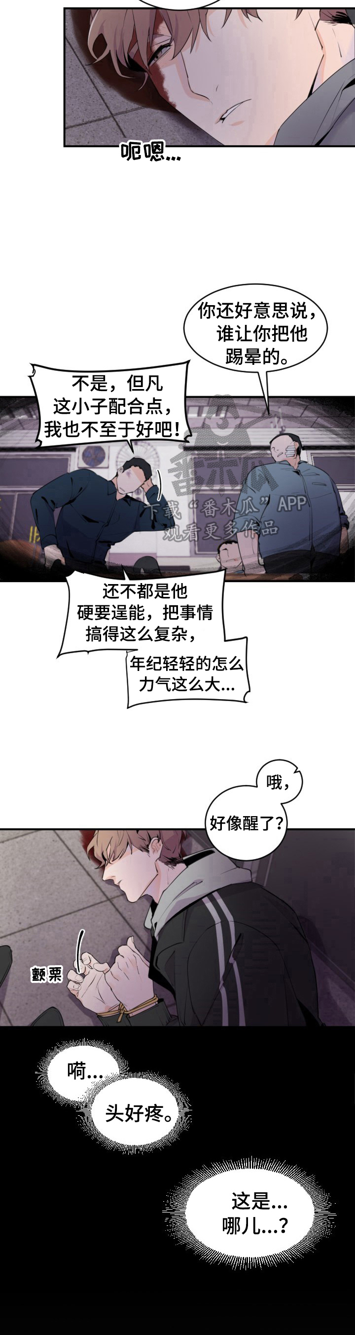 6.jpg