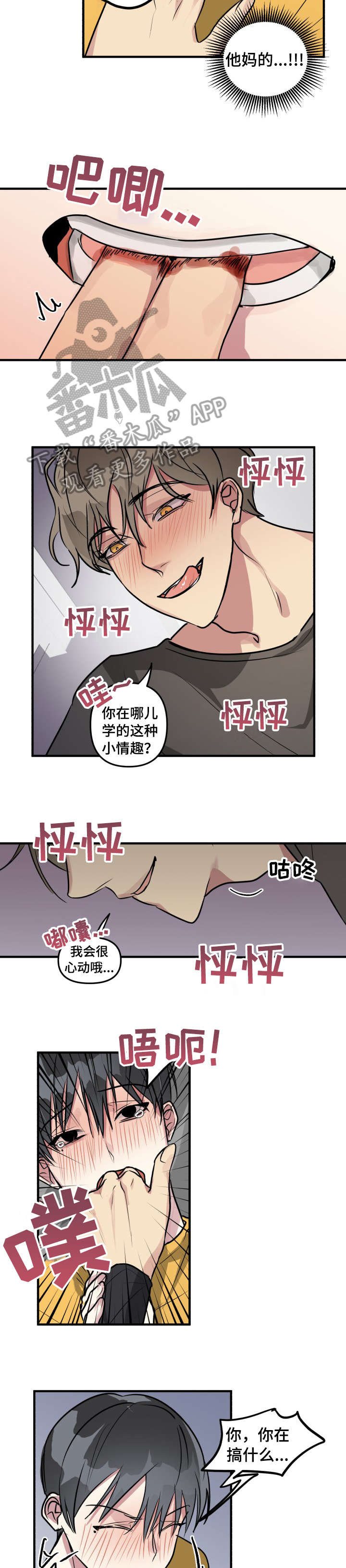 5.jpg