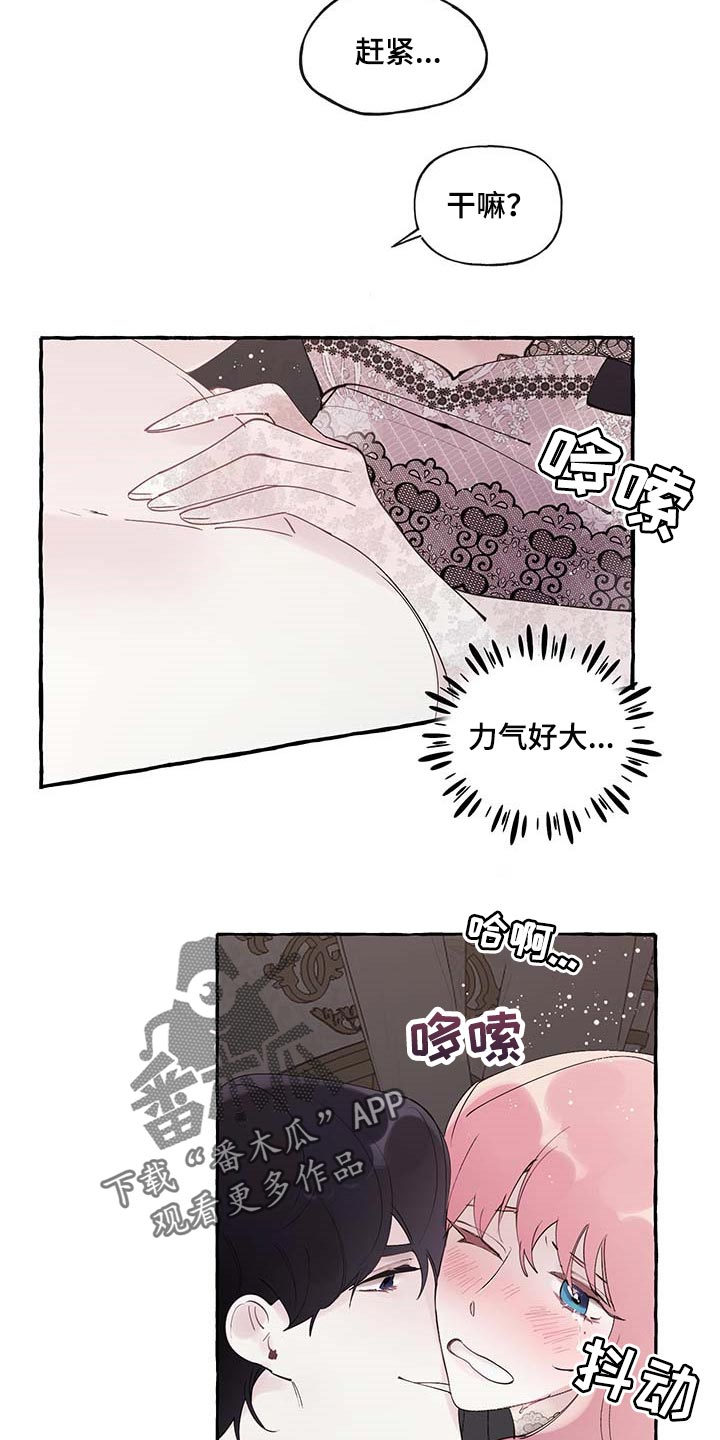 13.jpg