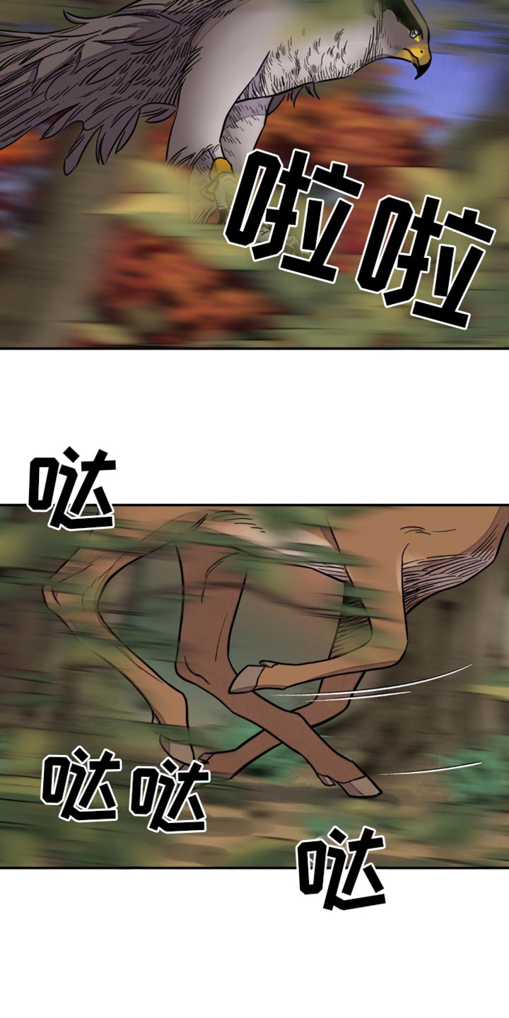 22.jpg