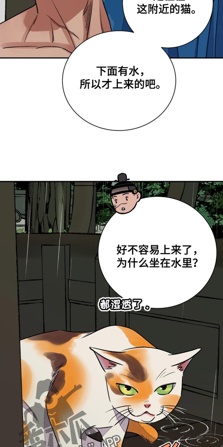 15.jpg