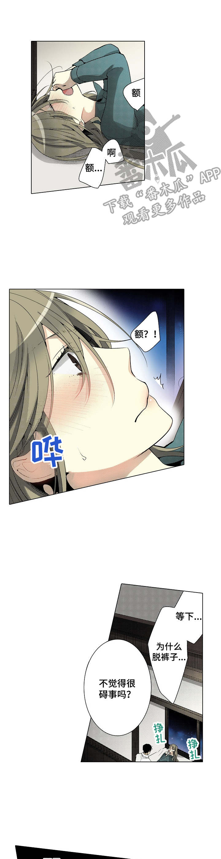 5.jpg