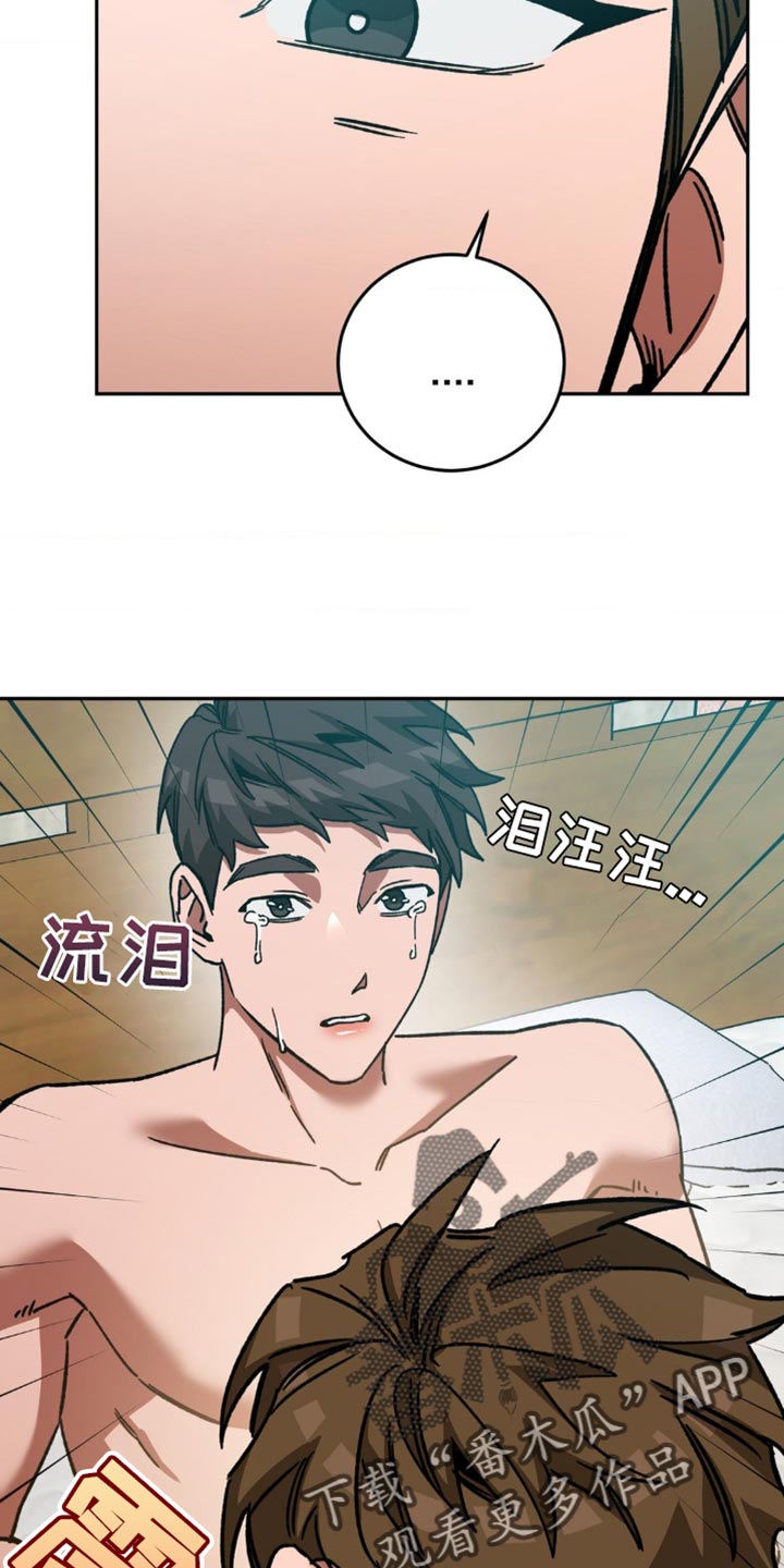 21.jpg