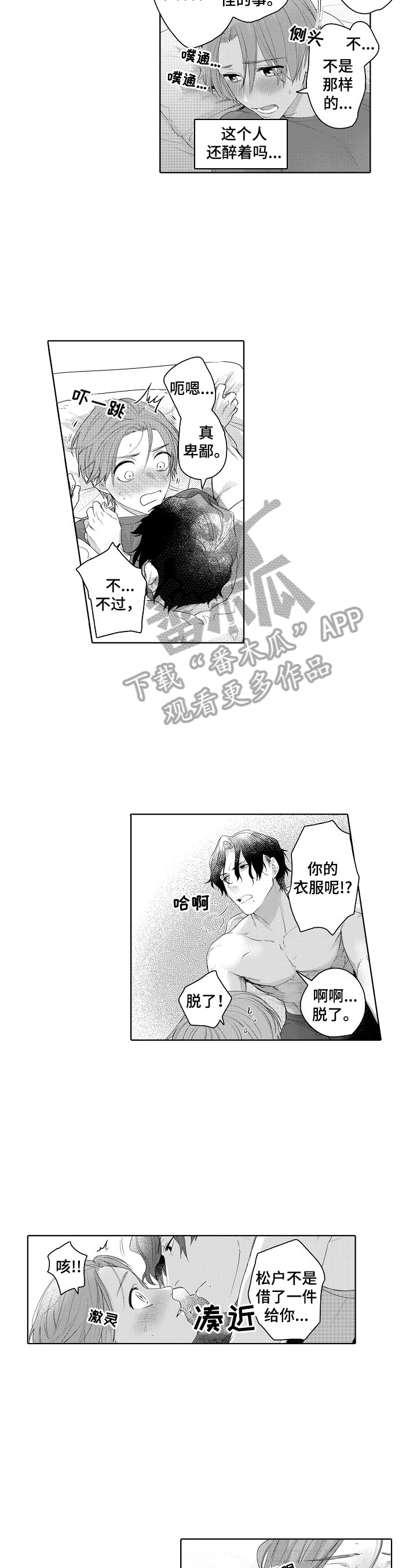 2.jpg