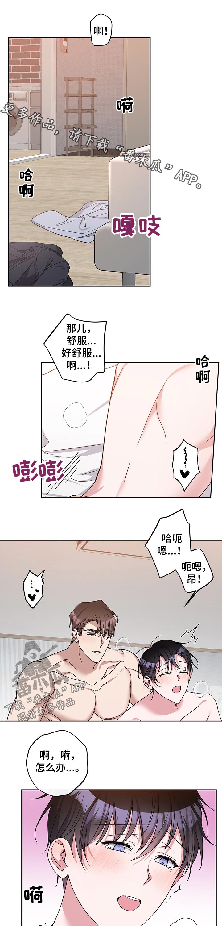 /template/pc/baozi/image/load.gif