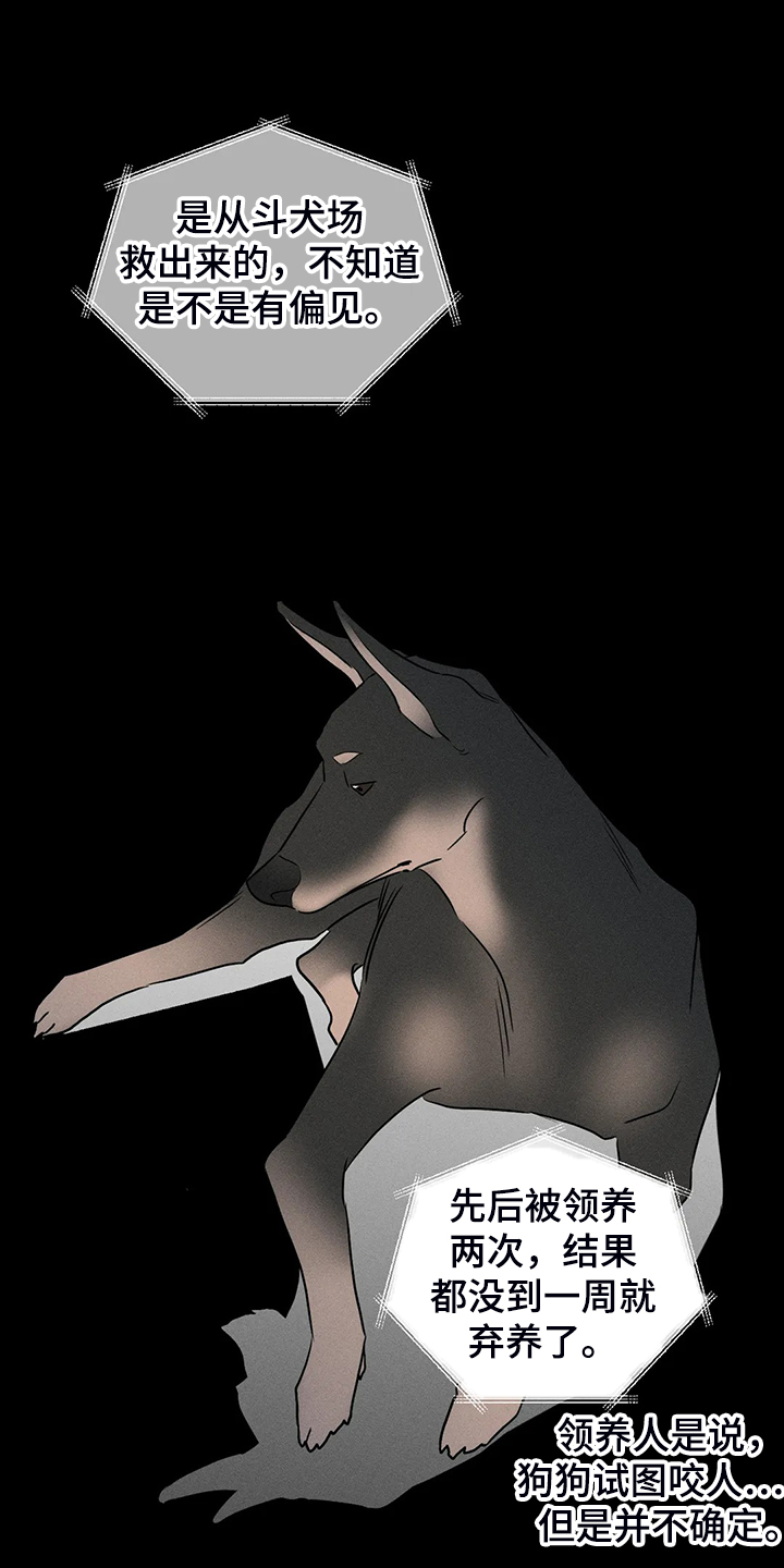 22.jpg