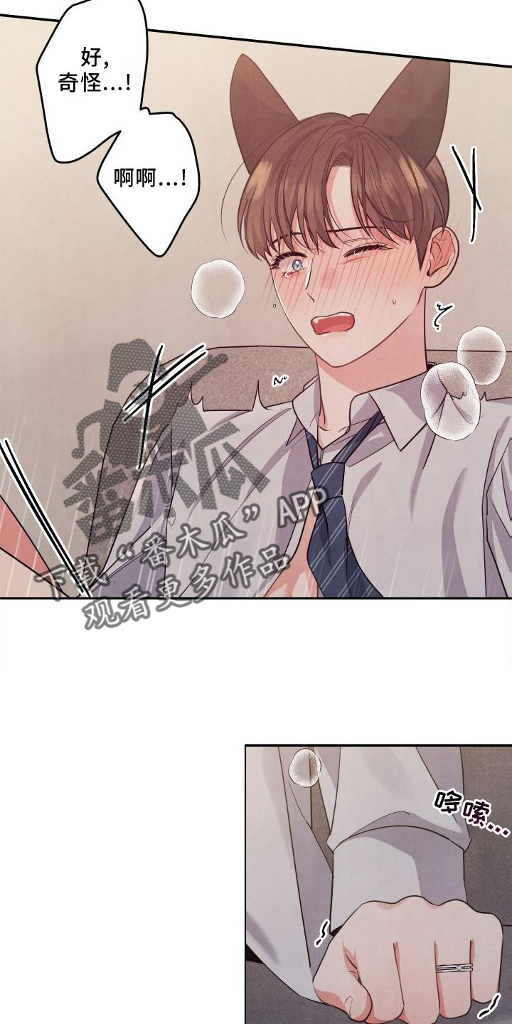 23