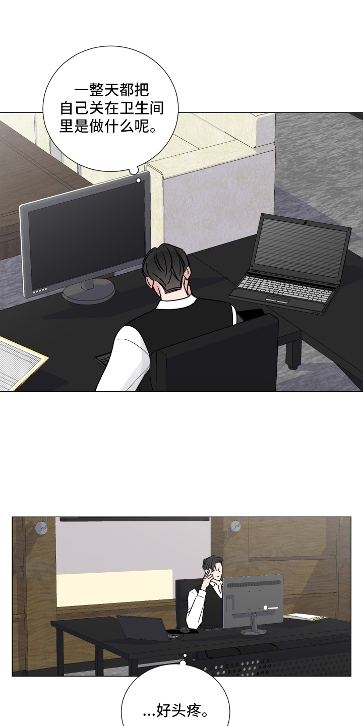 15.jpg