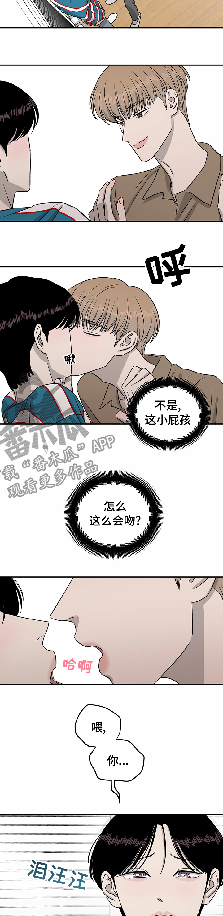 5.jpg