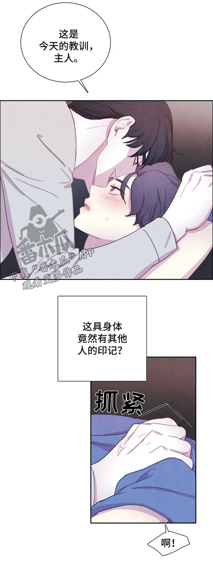 13.jpg