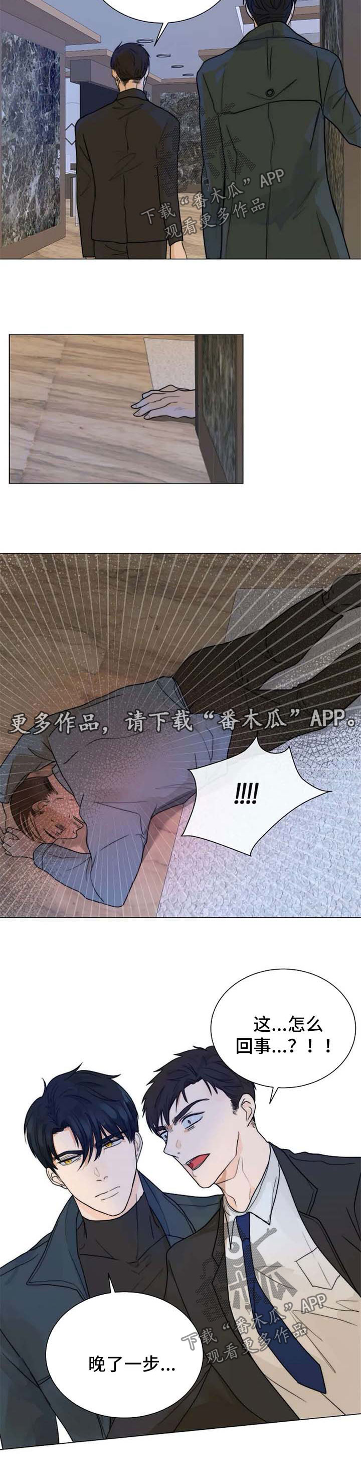 5.jpg