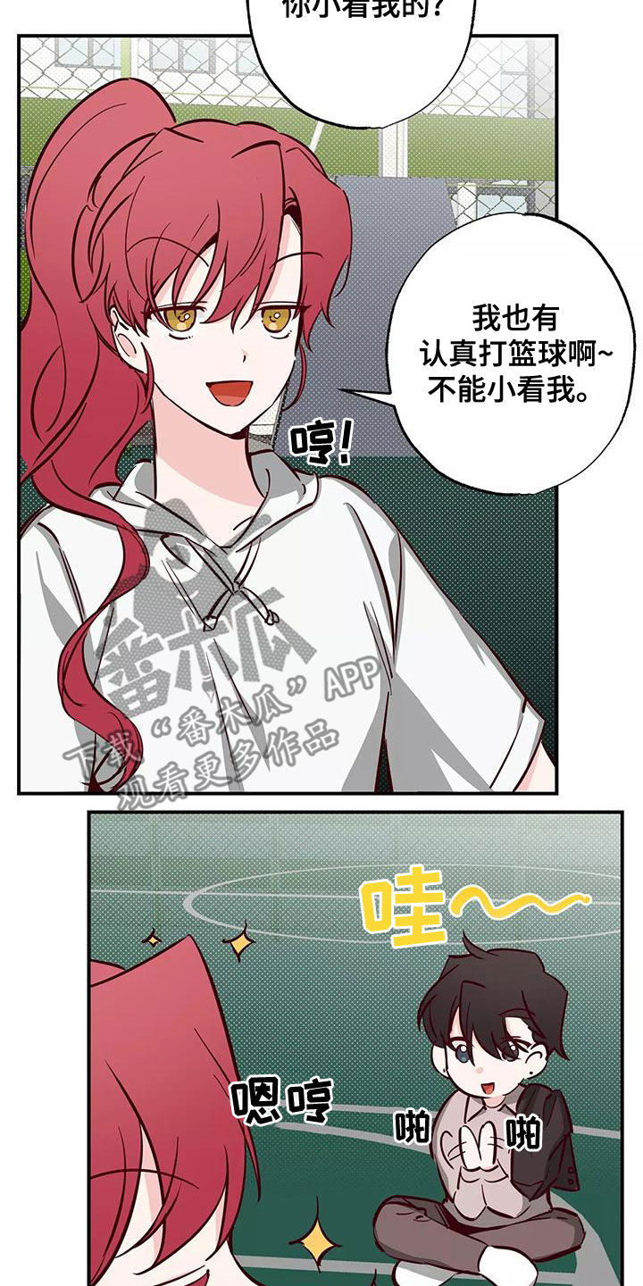 19.jpg