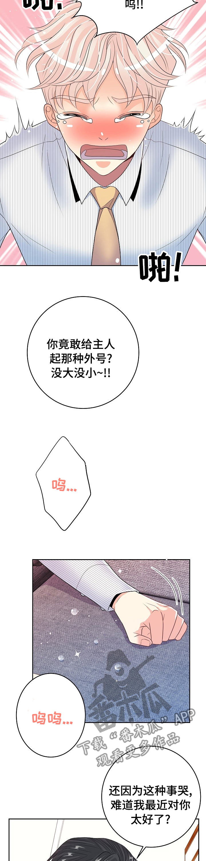 6.jpg
