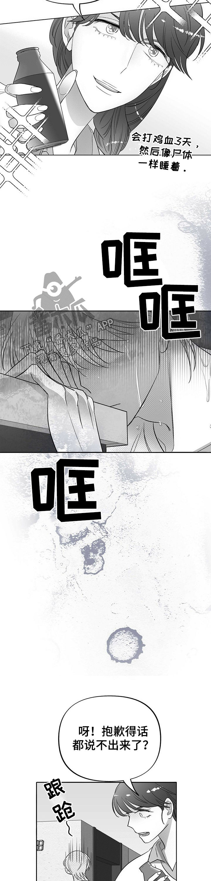 12.jpg