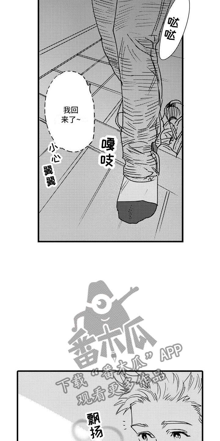 11.jpg
