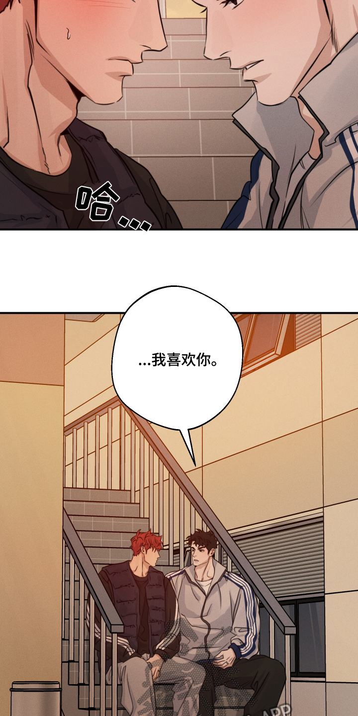 28