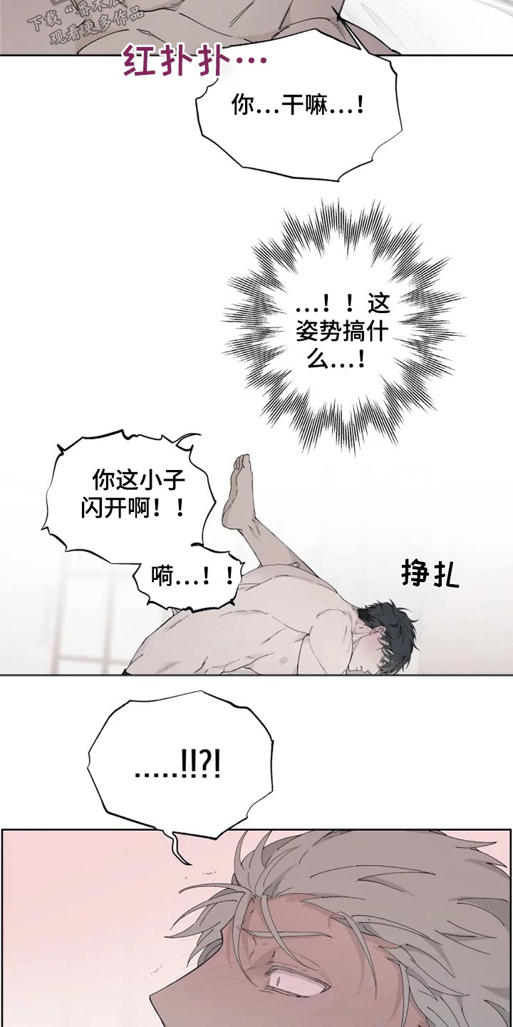 11.jpg