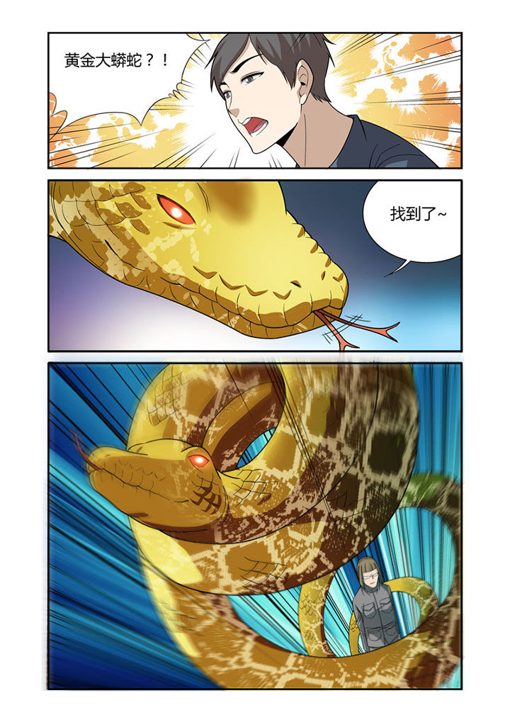 4.jpg