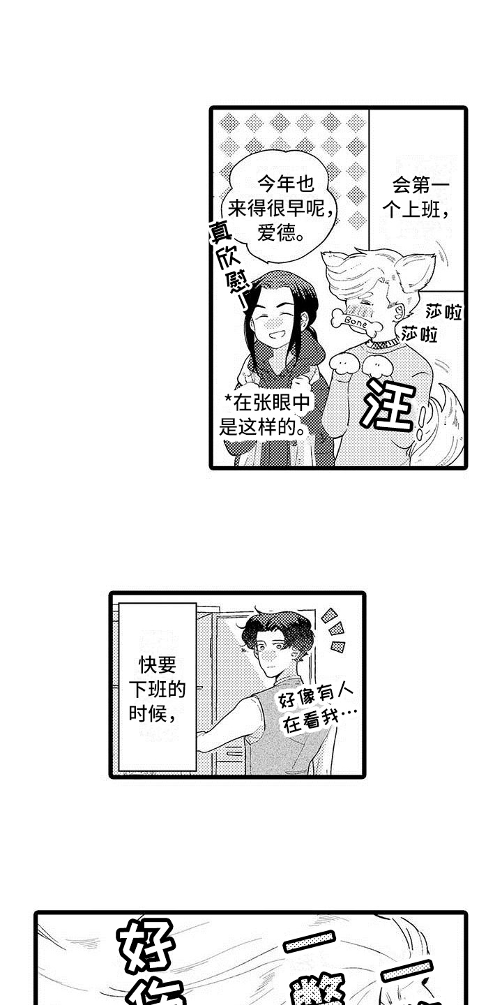 17
