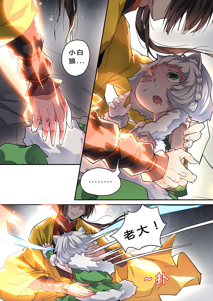 8.jpg