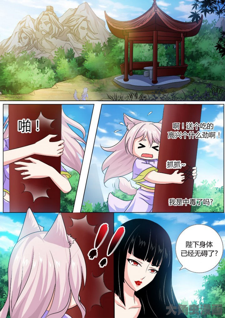 5.jpg