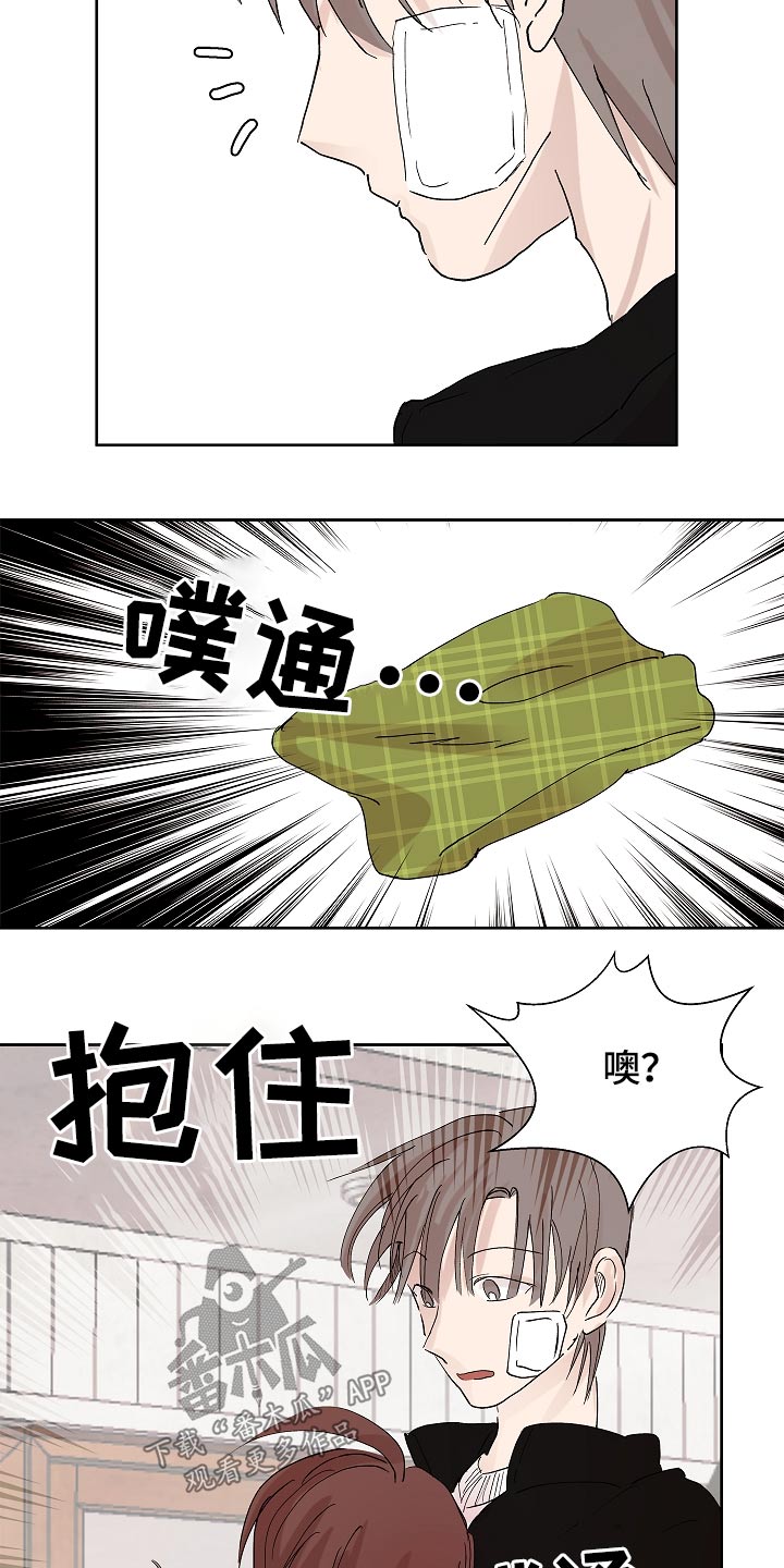 13.jpg
