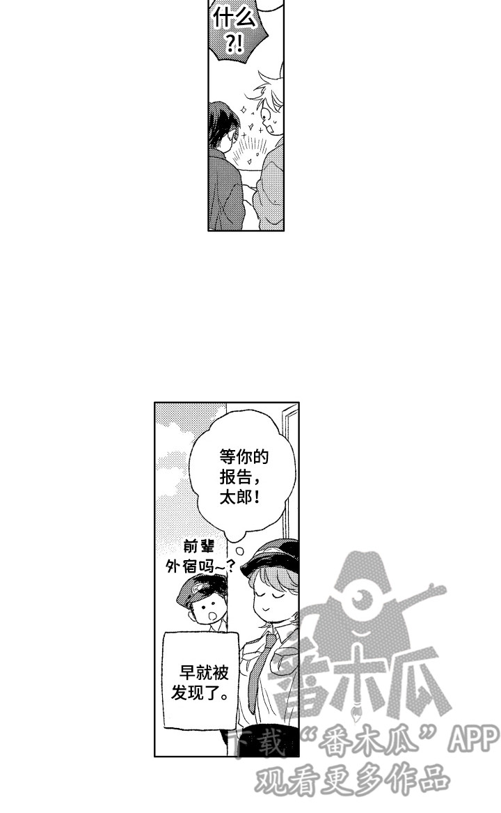 15.jpg