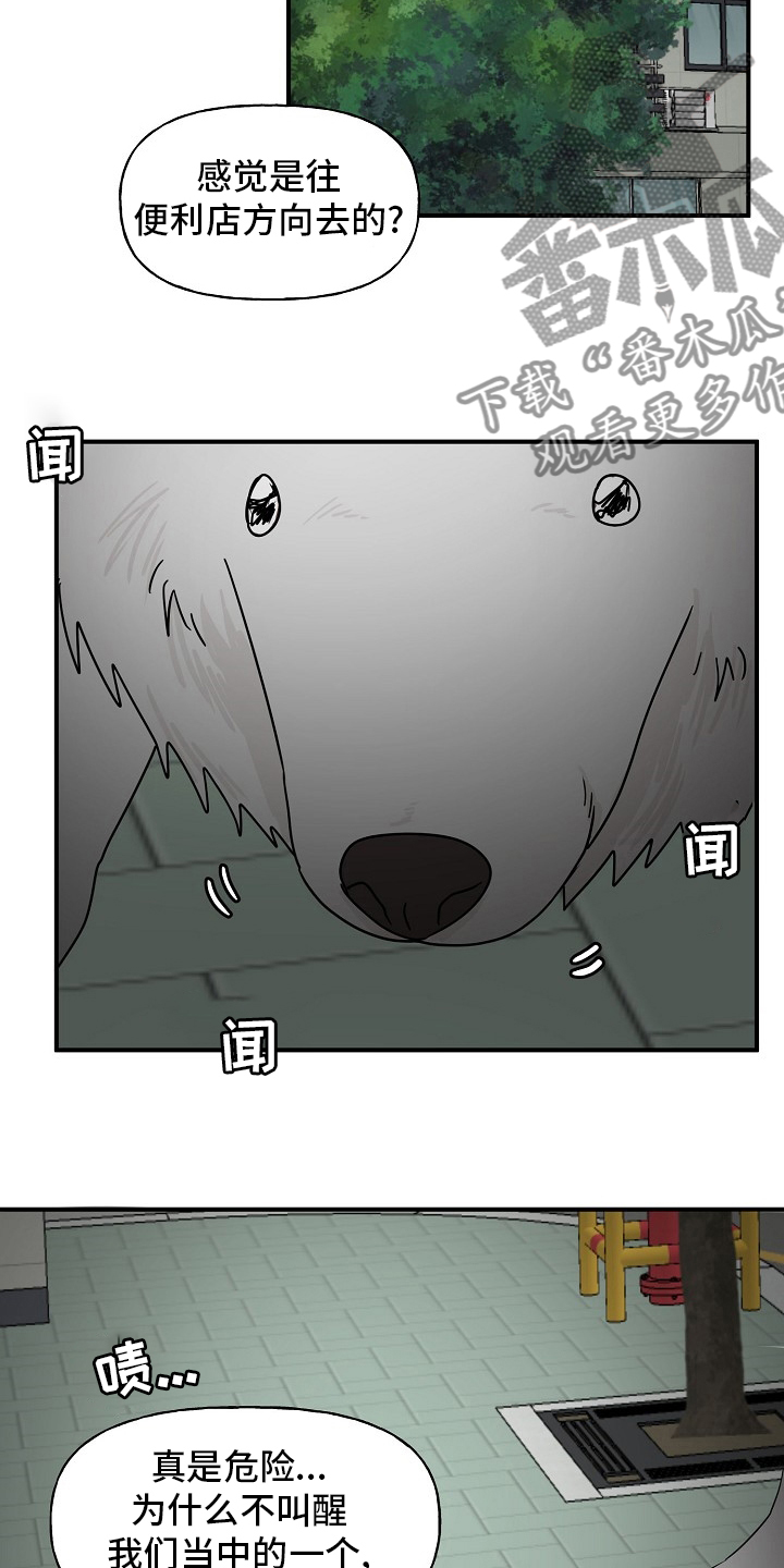 20.jpg
