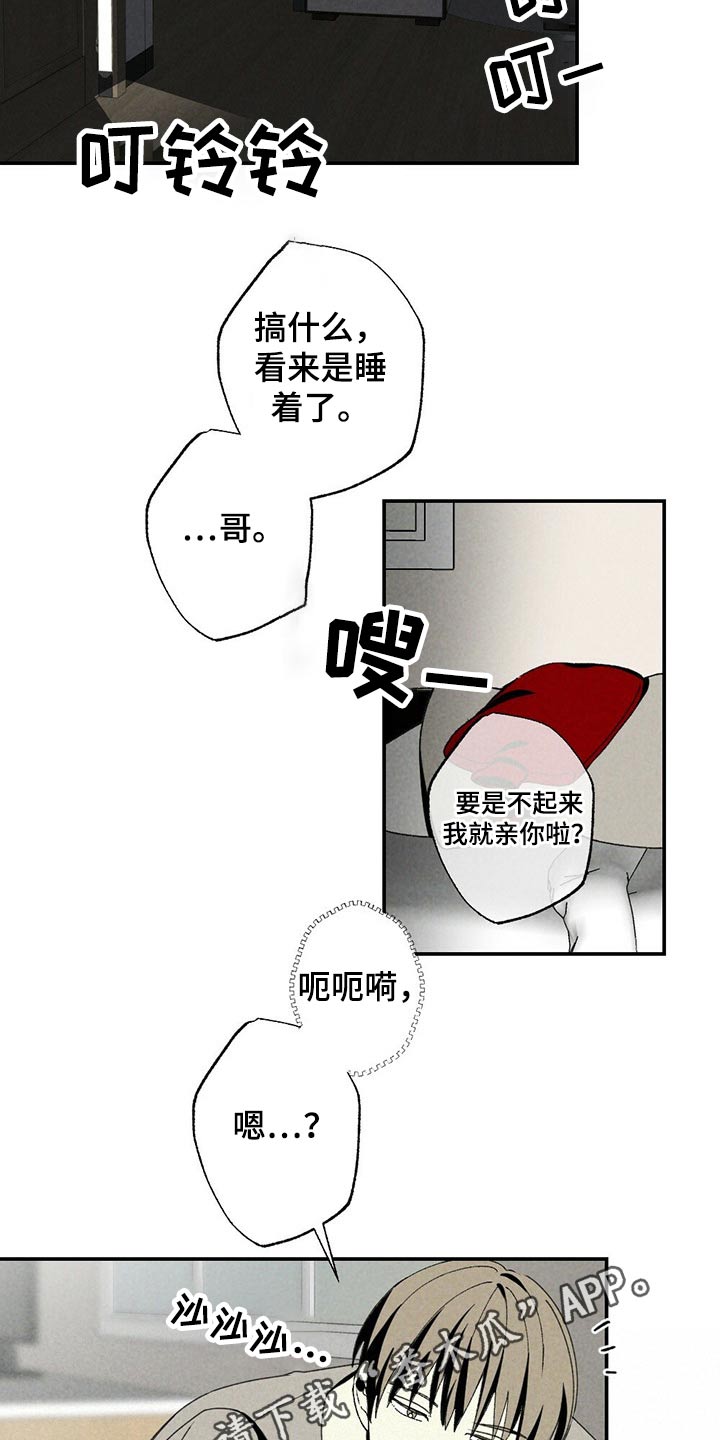 26