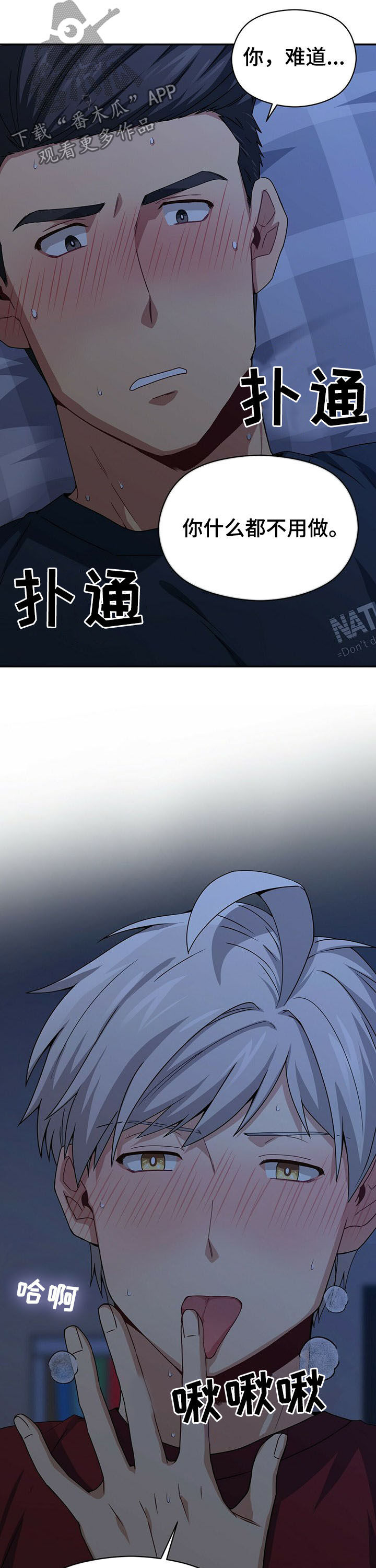 11.jpg