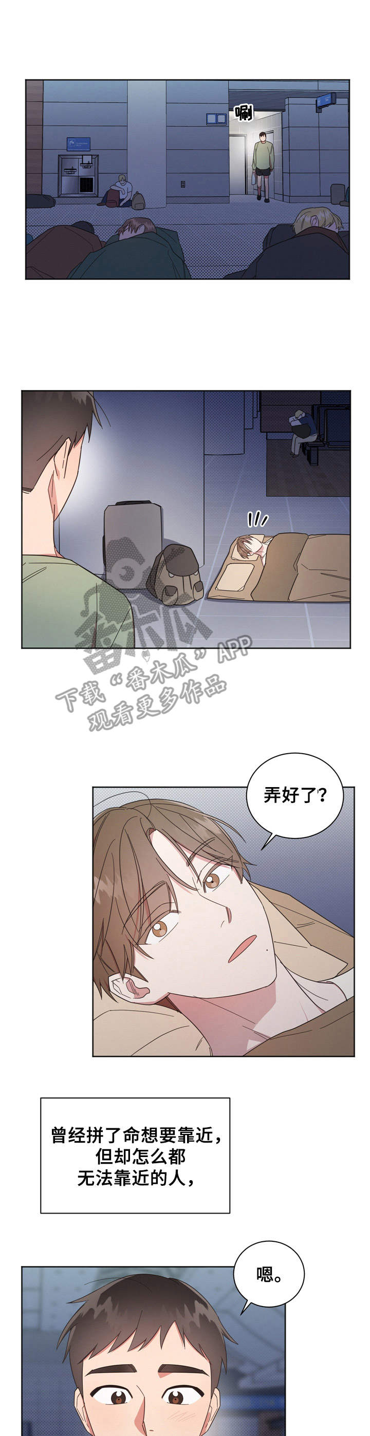 4.jpg