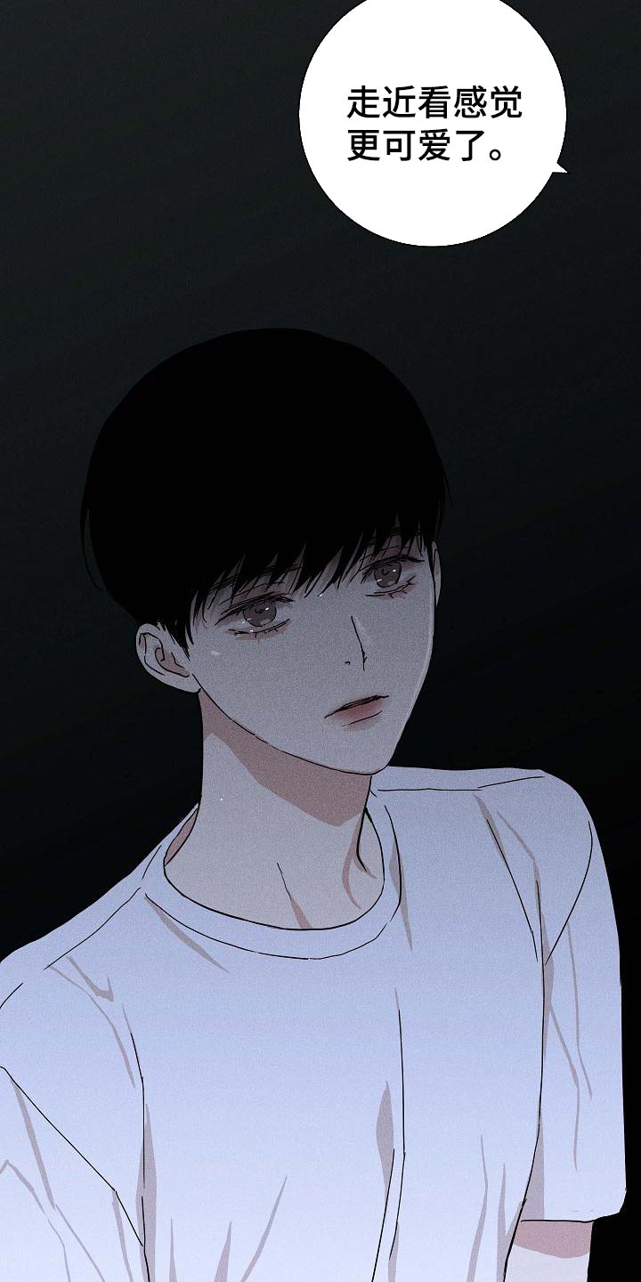 29