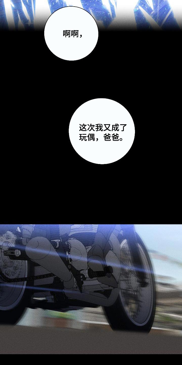 16.jpg