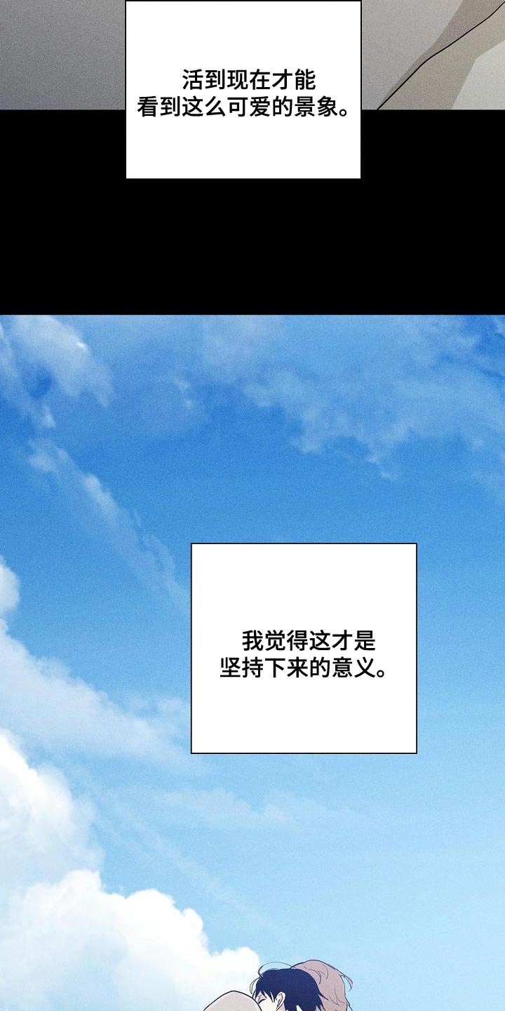 29.jpg