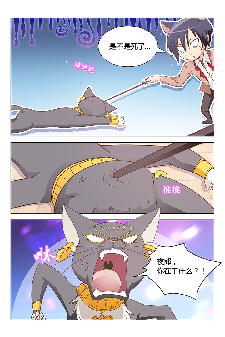 5.jpg