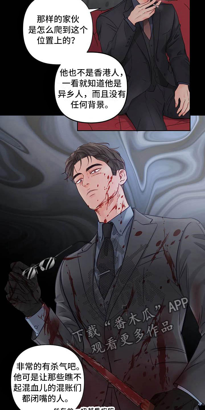 15.jpg
