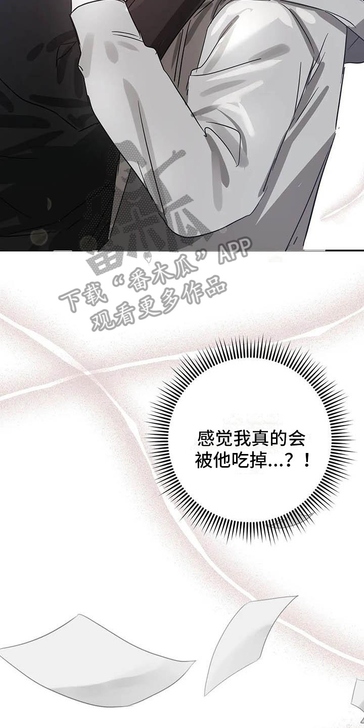 21.jpg