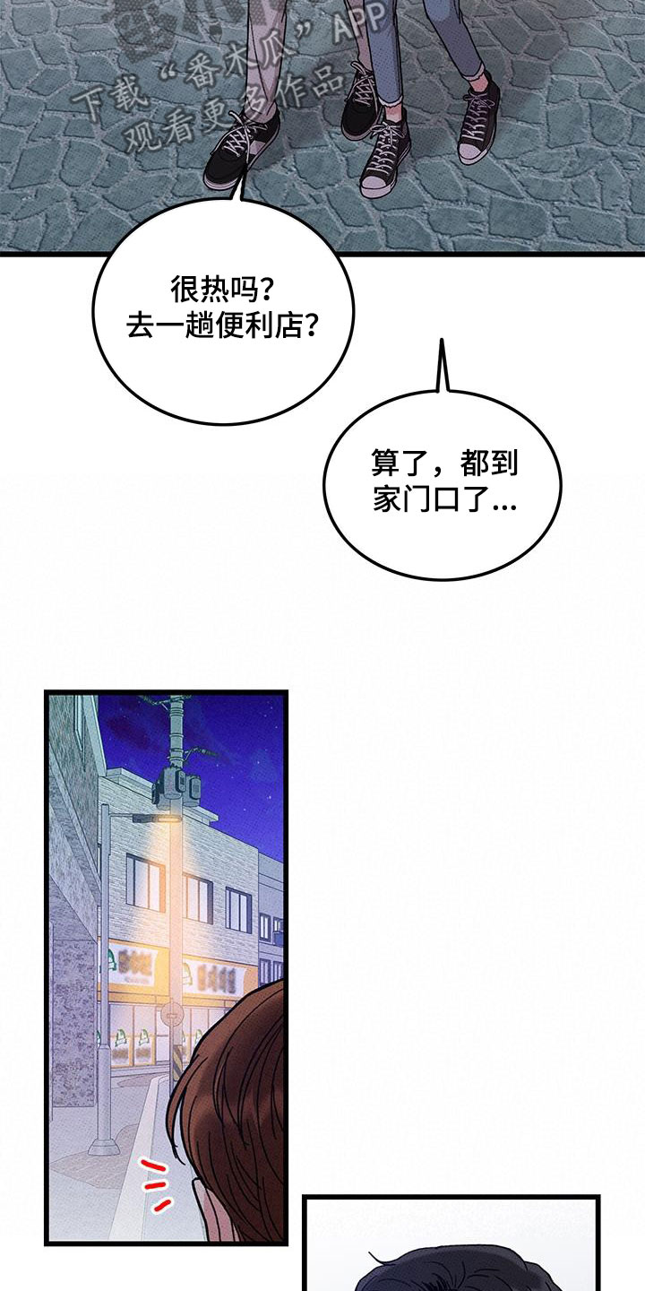 19.jpg