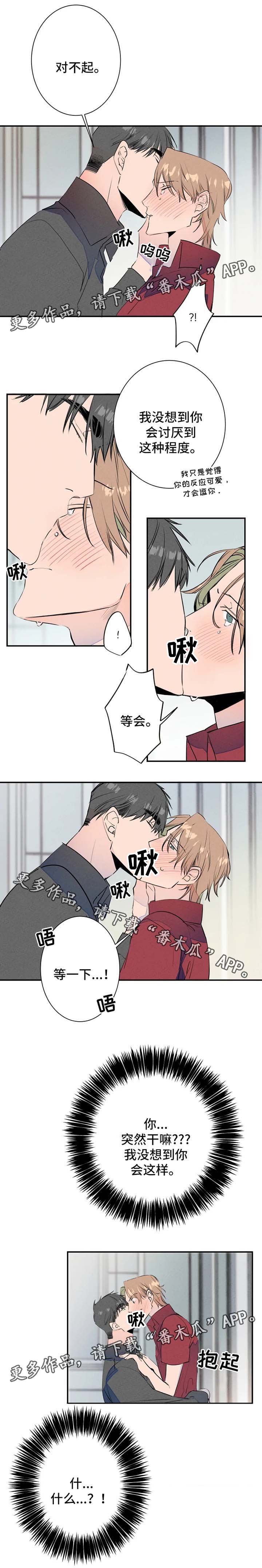 4.jpg