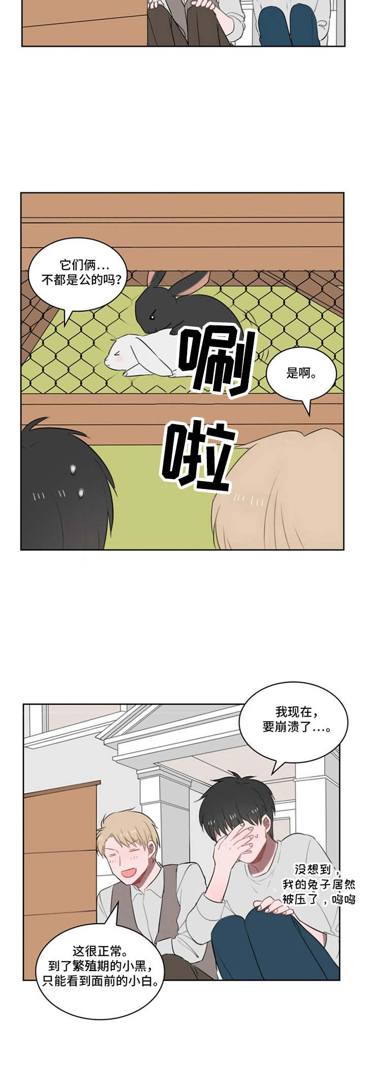 /template/pc/baozi/image/load.gif