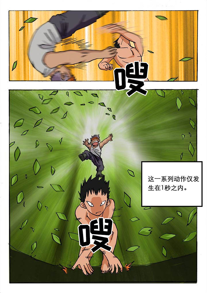 5.jpg