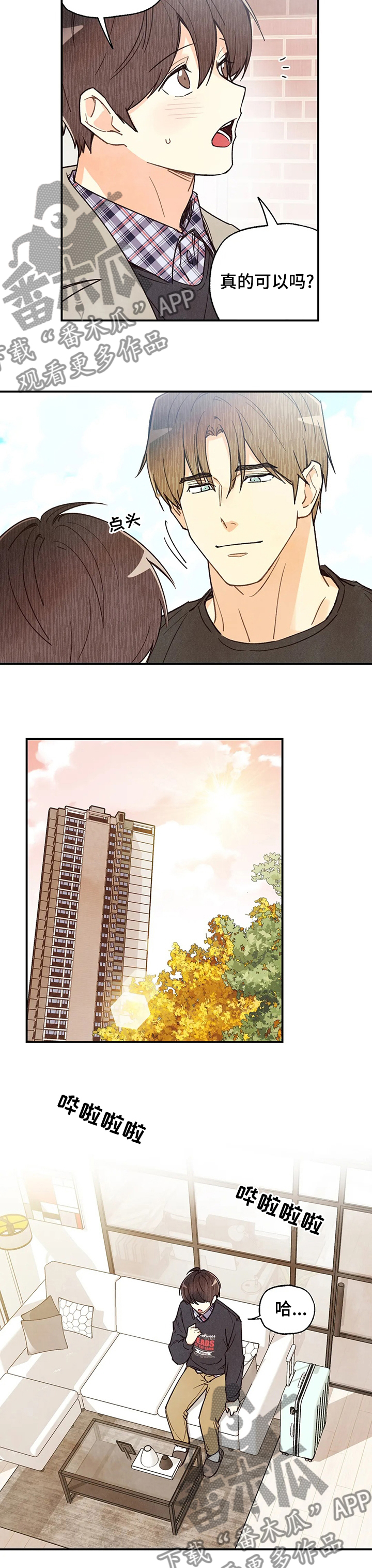 12