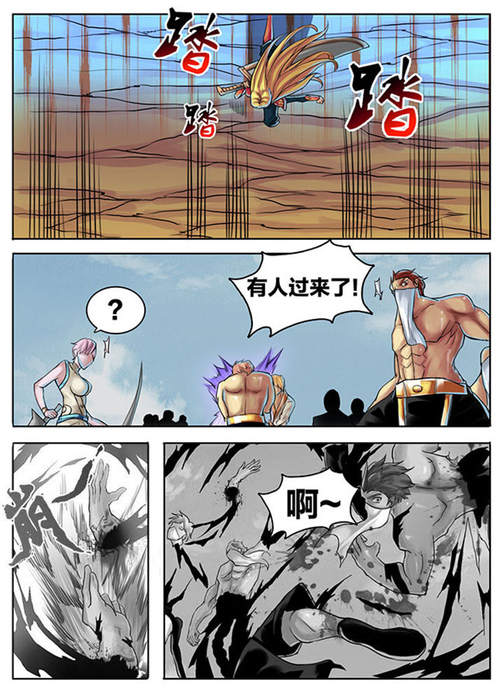 5.jpg