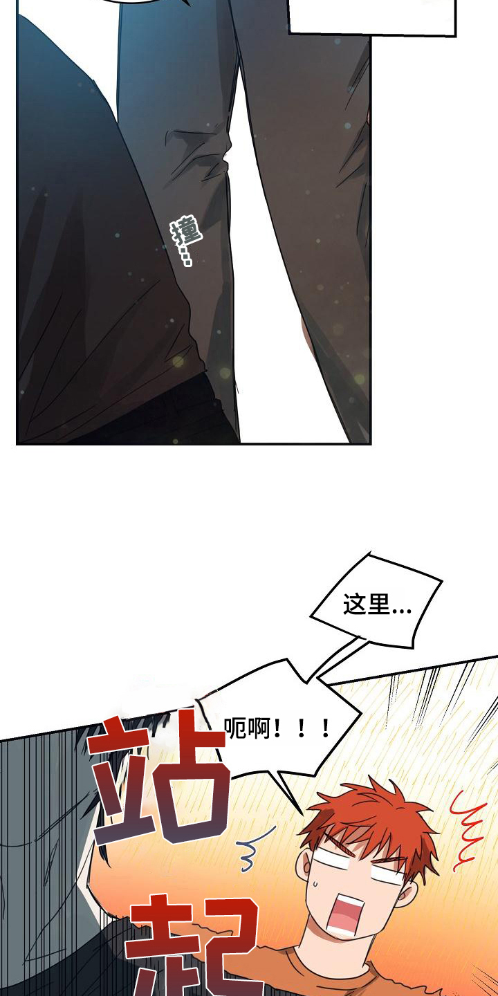16.jpg