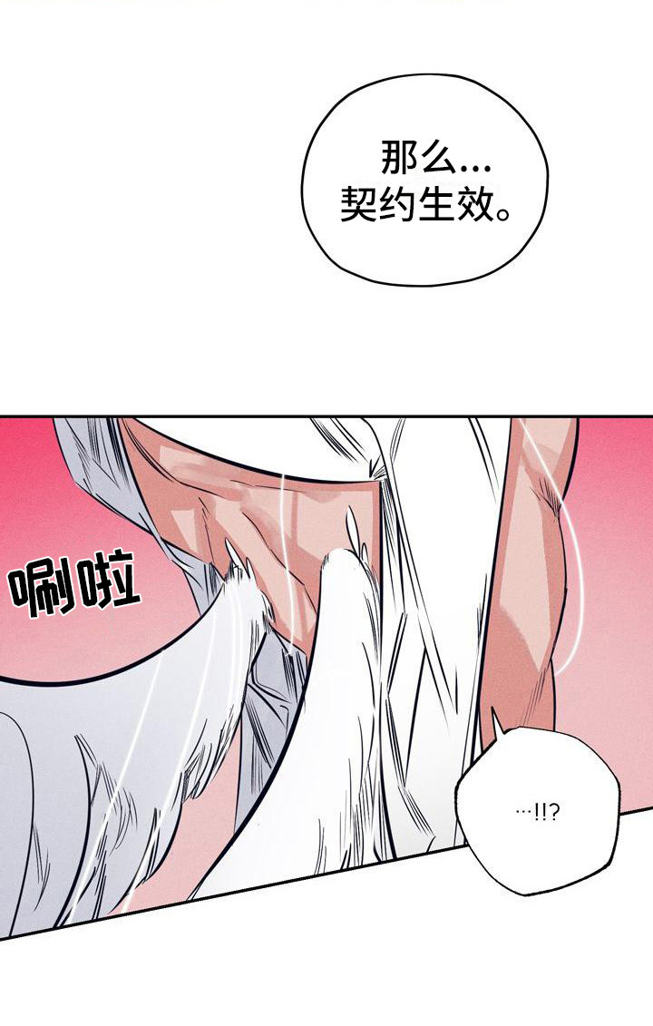 26.jpg