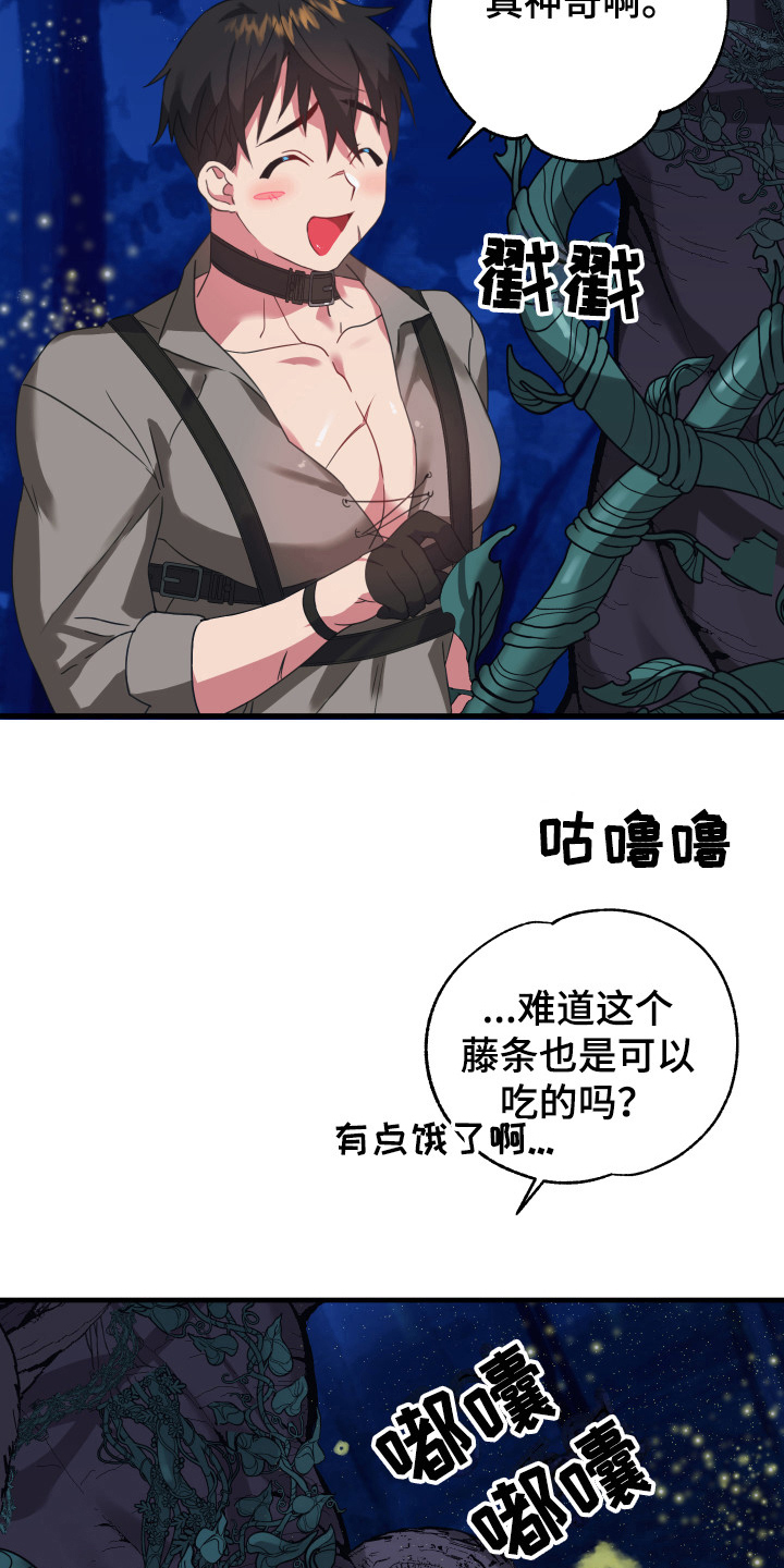 11.jpg