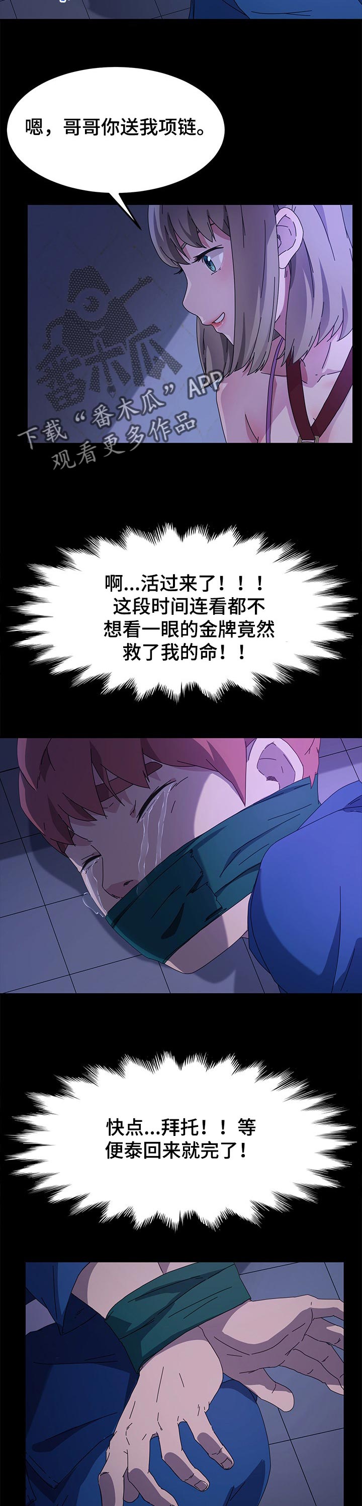 5.jpg